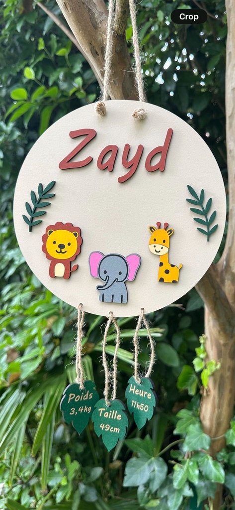 Plaque de naissance — Animaux de la savane